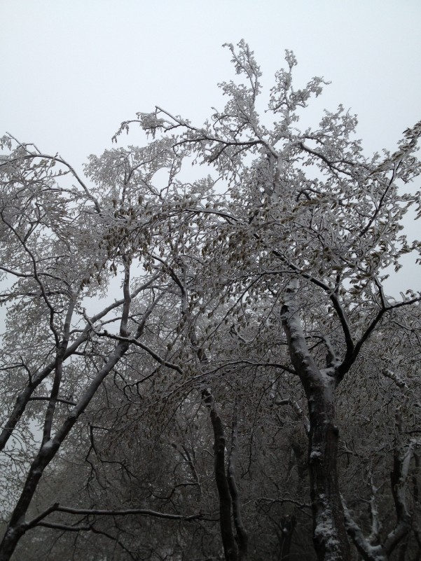 QQ��ͼ20130423100620.jpg