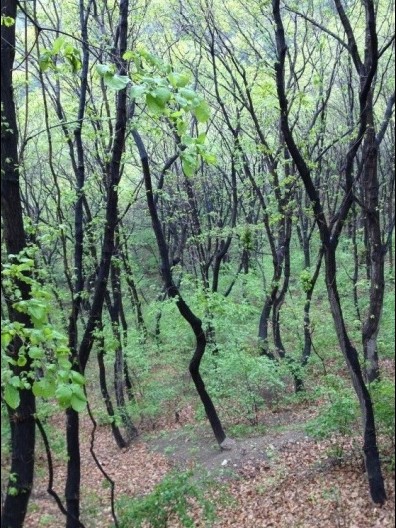 QQ��ͼ20130423101906.jpg