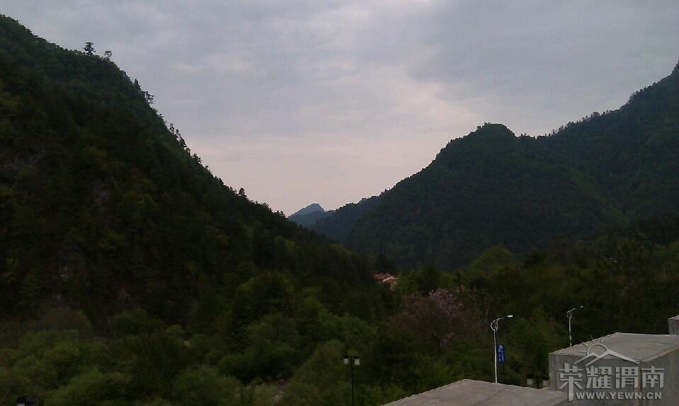 IMAG0352.jpg