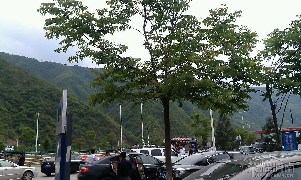 IMAG0348.jpg
