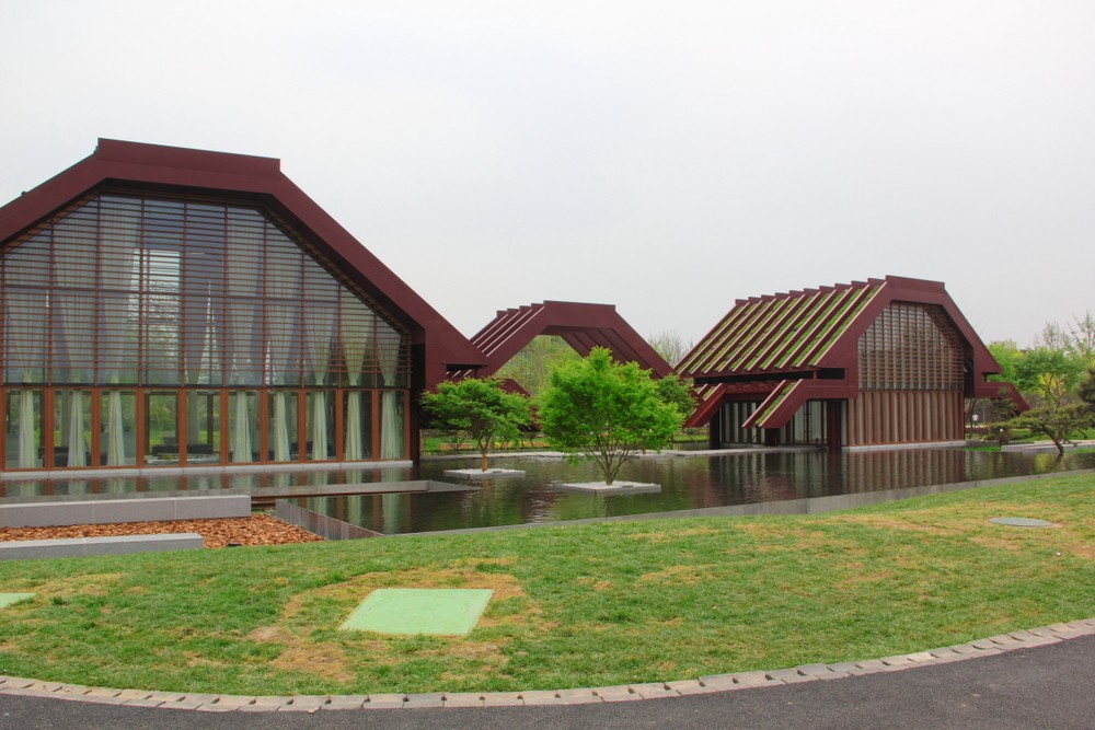 a21713566_01000.jpg
