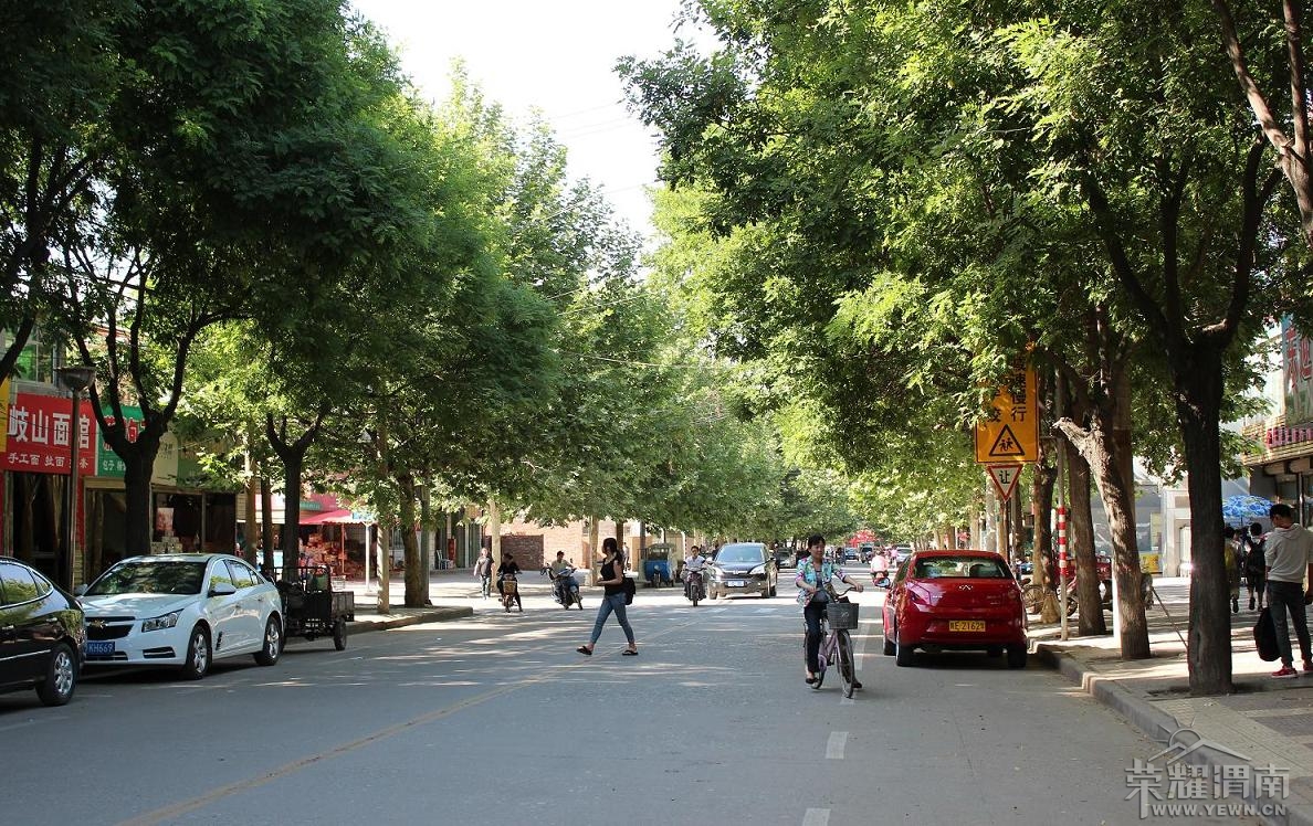 IMG_4380_����.jpg