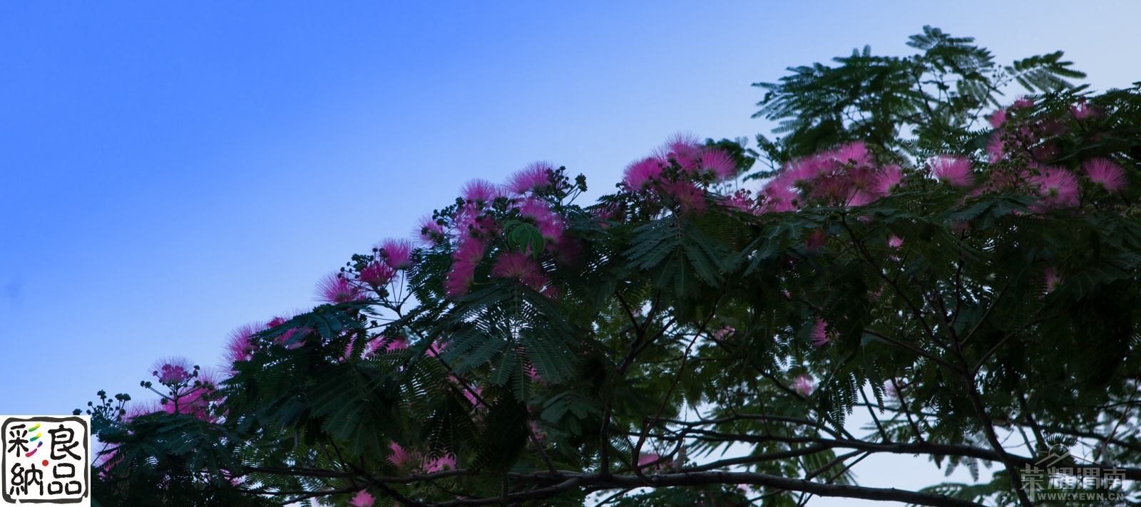 20130519-IMG_7880.jpg