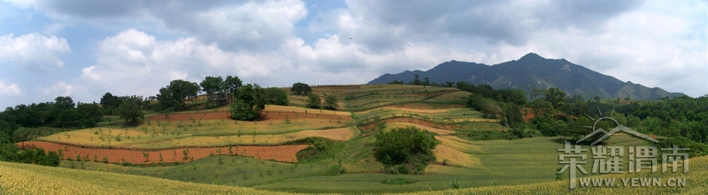 100_7407.jpg