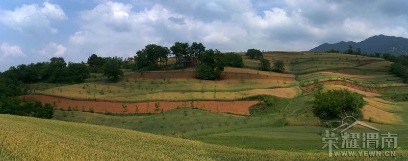 100_7408.jpg