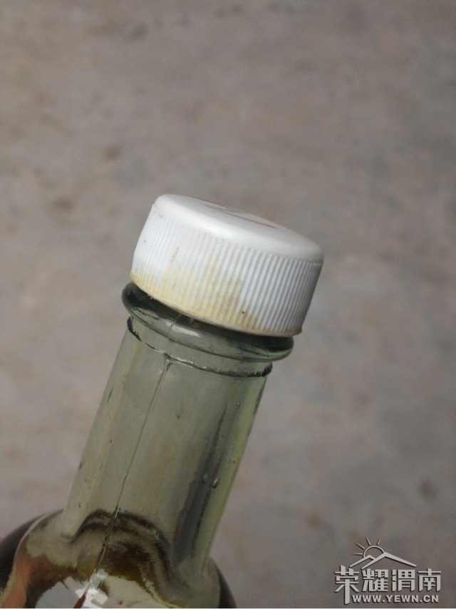 IMG0008.jpg