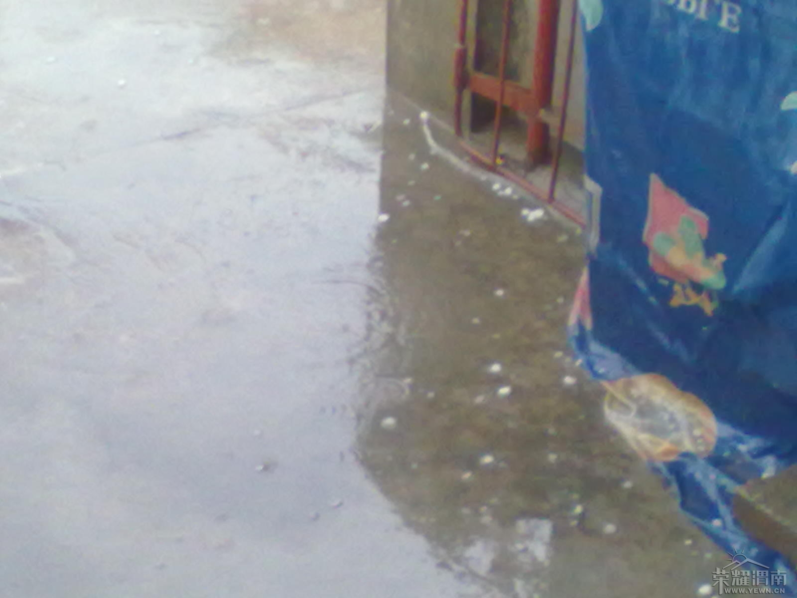 20130522011.jpg