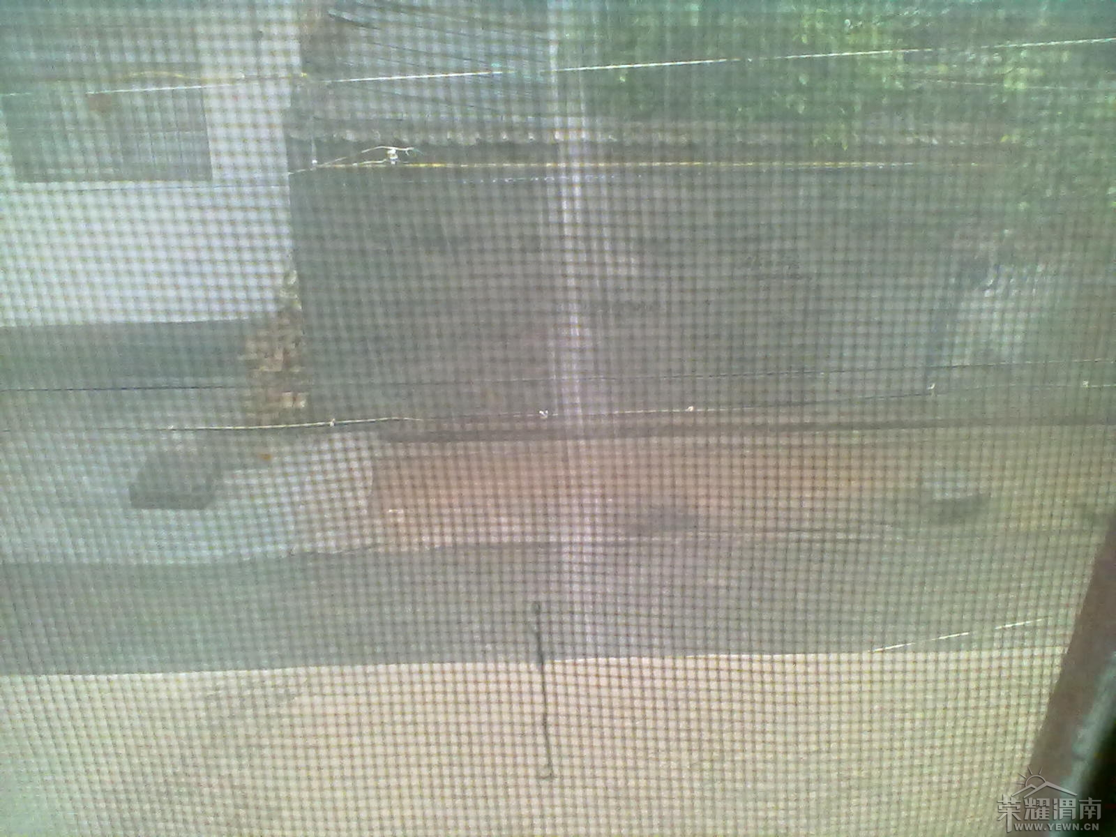 20130522014 - ����.jpg
