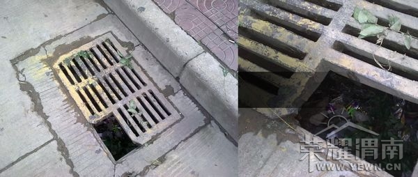 ͼ��2568.jpg