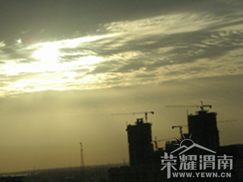 IMGP3219_����_����.jpg