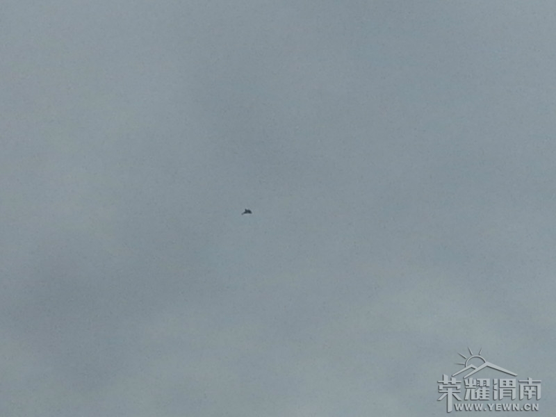 psbCA5K50FP.jpg