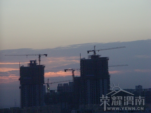 IMGP3242_����.jpg