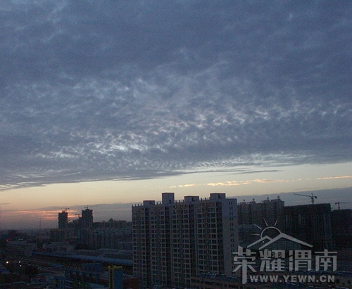 IMGP3239_����_����.jpg