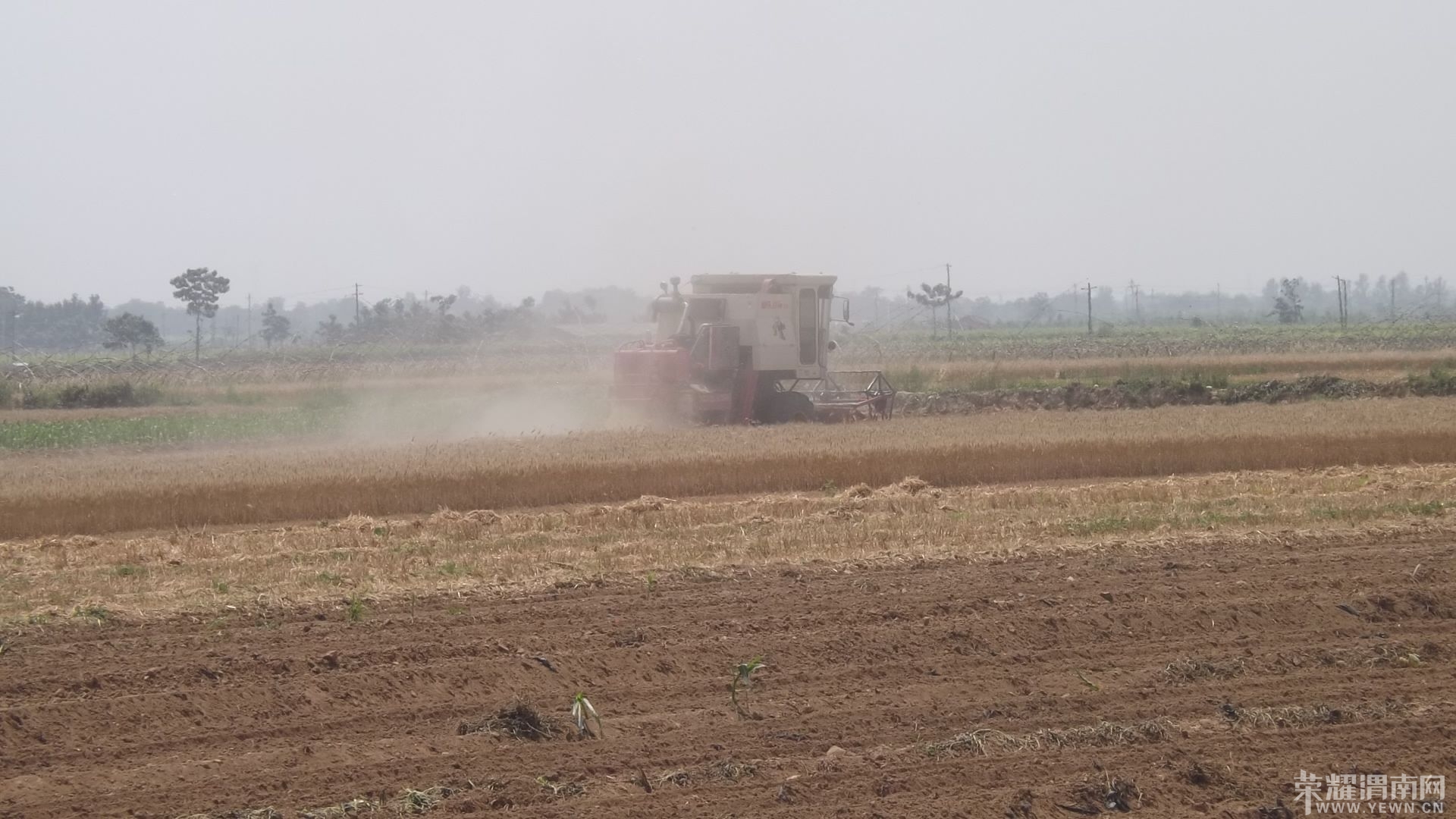 DSCF1145.jpg
