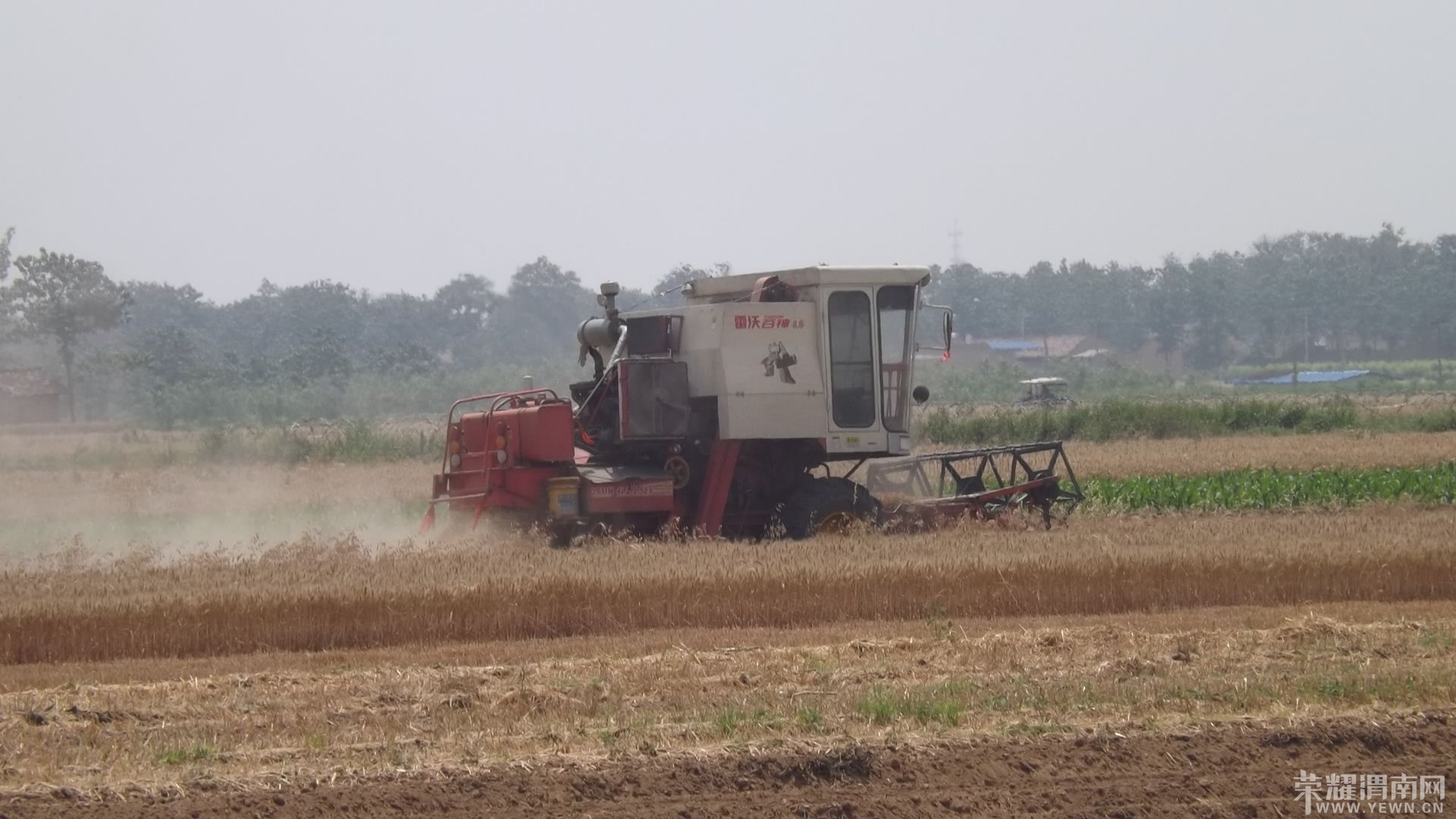 DSCF1149.jpg
