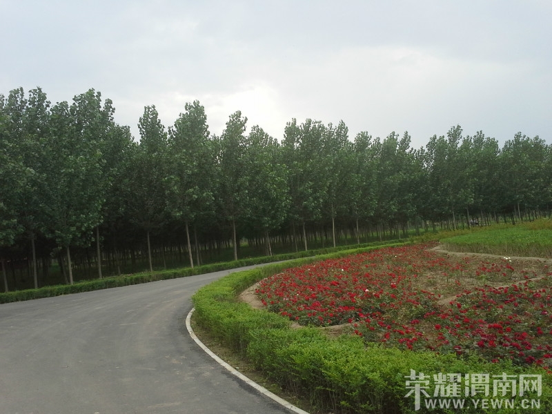 psbCA06LVHU.jpg