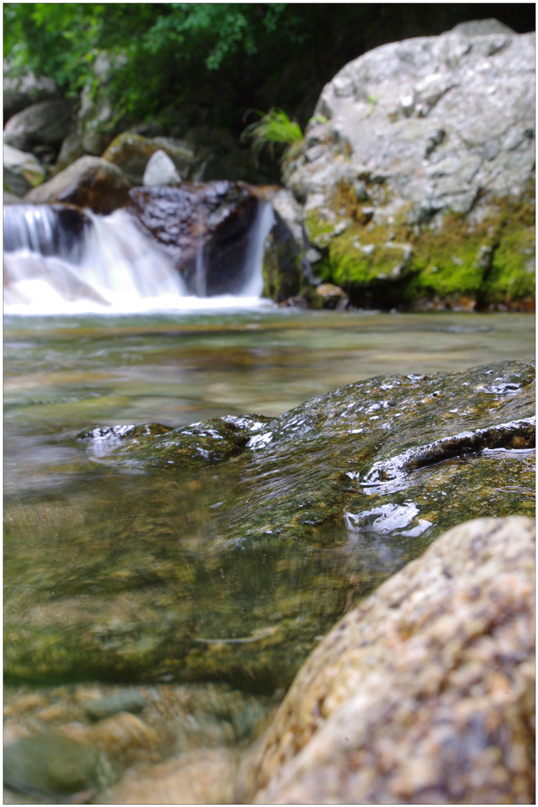 IMGP5749_����.jpg