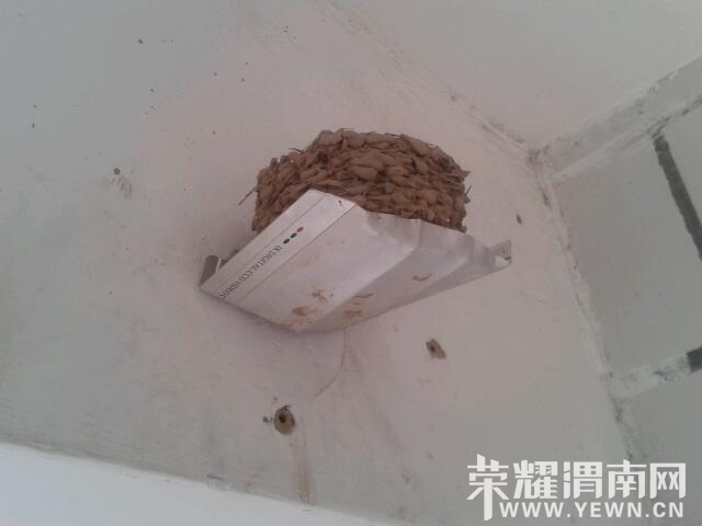 2013-06-13 16.50.42.jpg