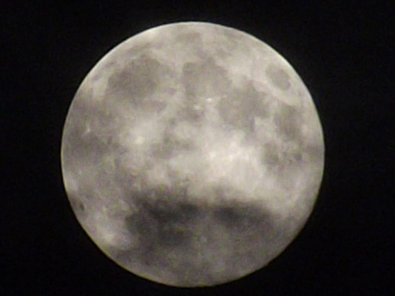 DSCF0100_����.jpg