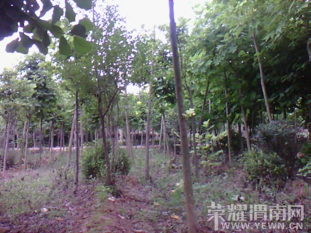 IMG_20130626_122910.jpg