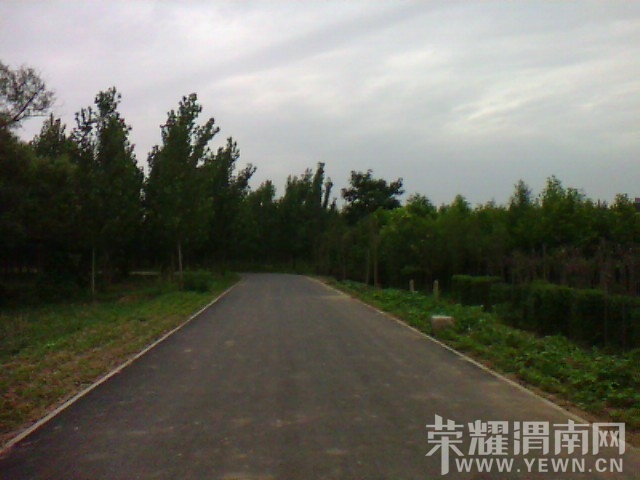 IMG_20130626_123643.jpg