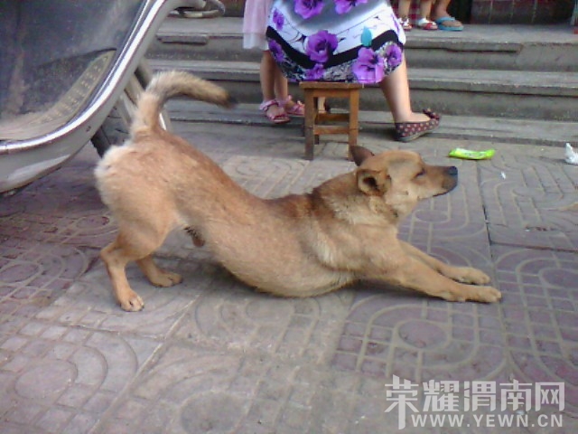 IMG_20130627_080833.jpg