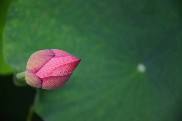 20130614165538w4MSz0WrRQ51bada8a17b6c_web_pic.jpg