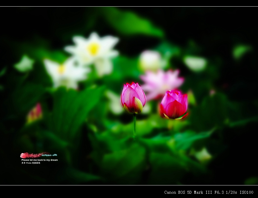 048_����.jpg