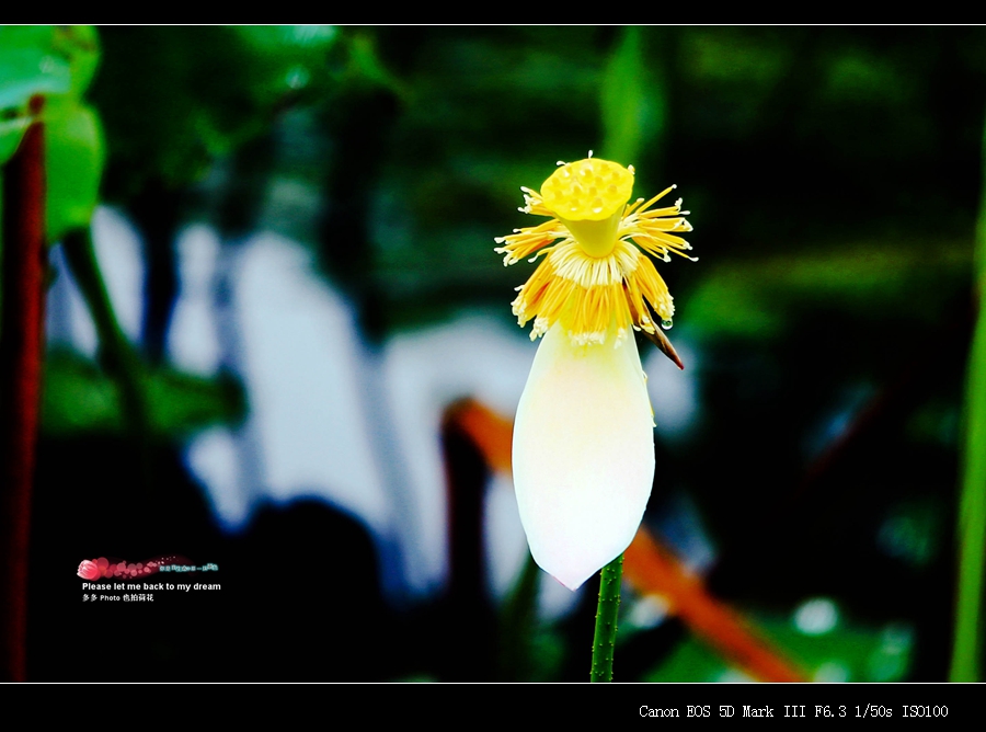 088_����.jpg