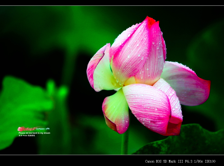 089_����.jpg