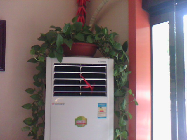 IMG_20130708_130957.jpg