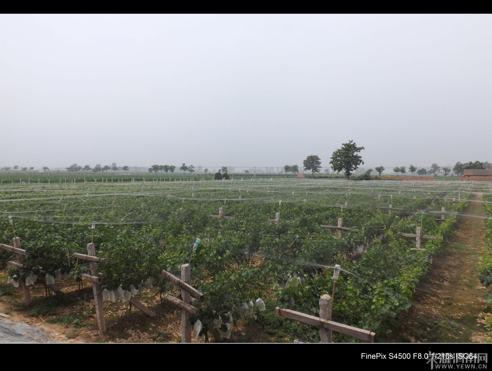 DSCF1517.JPG