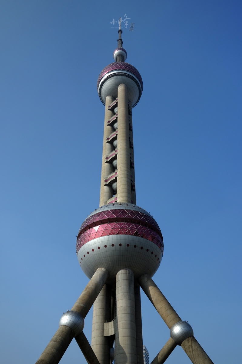 DSC02728.jpg