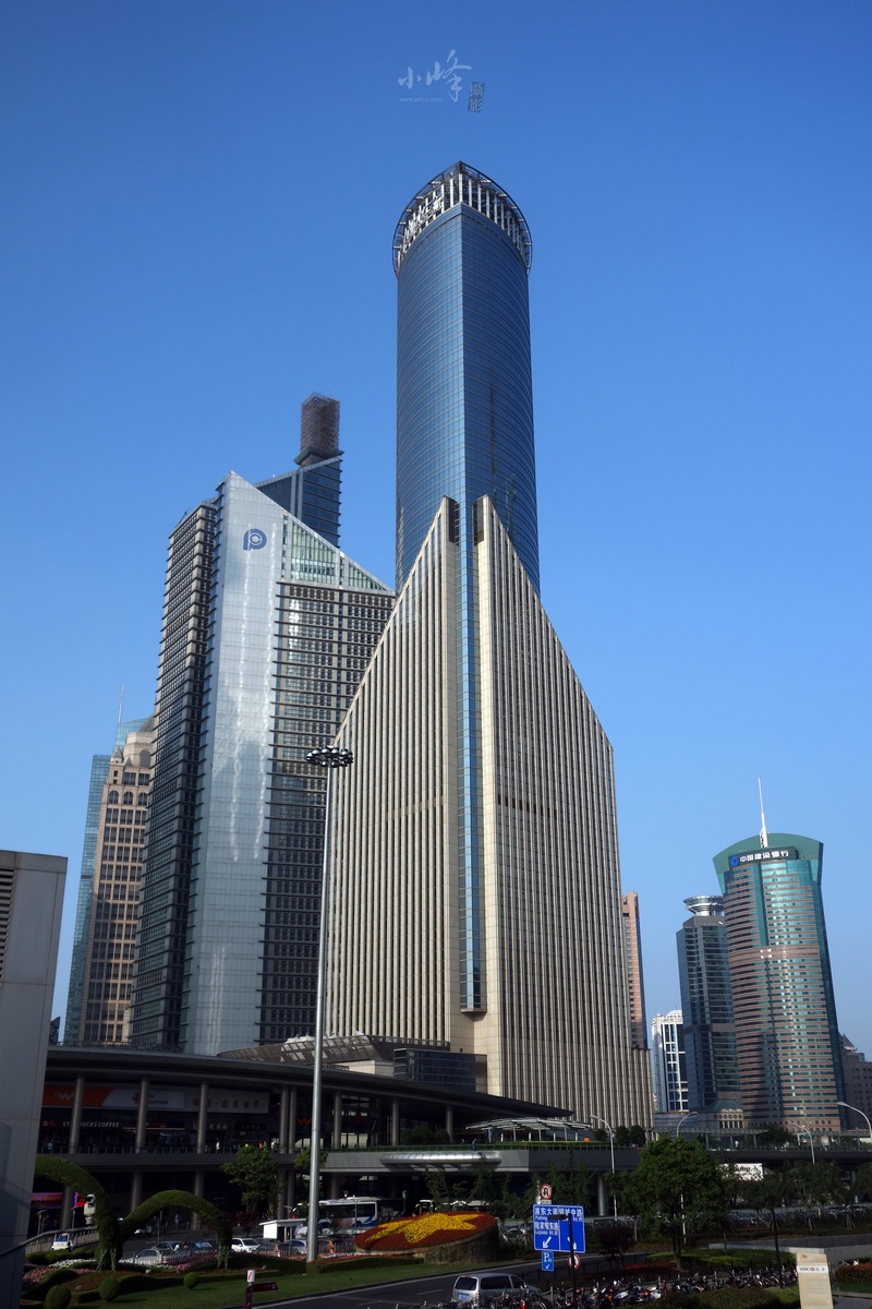 DSC02733.jpg