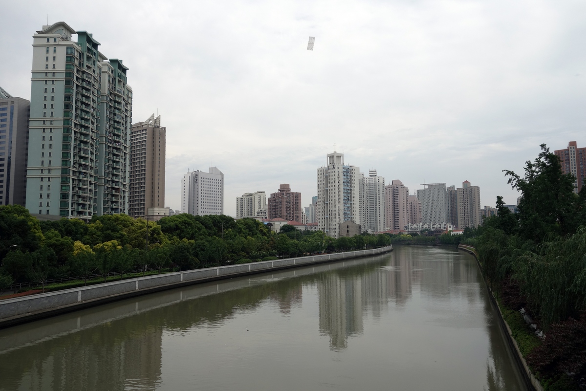 DSC03180.jpg