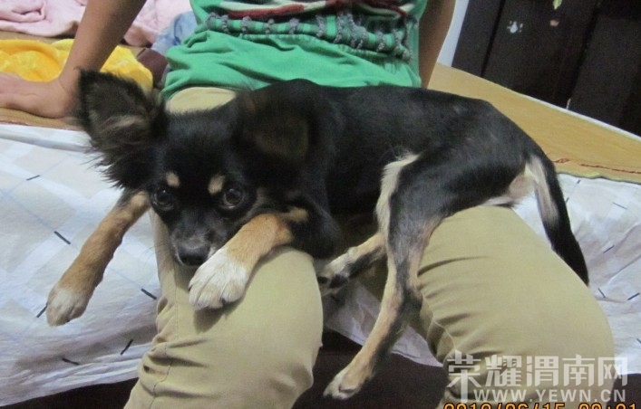 QQͼƬ20130728102221.jpg