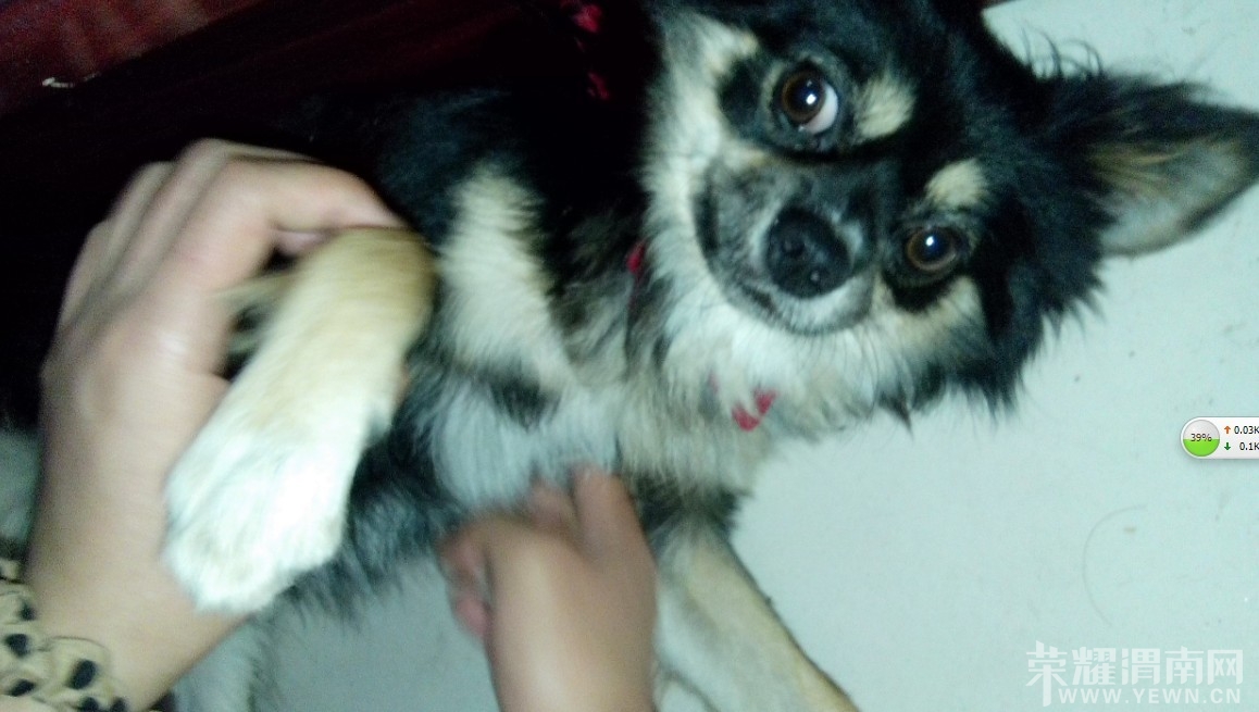 QQͼƬ20130728102326.jpg