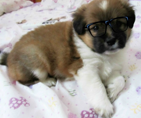 QQͼƬ20130709134037.jpg