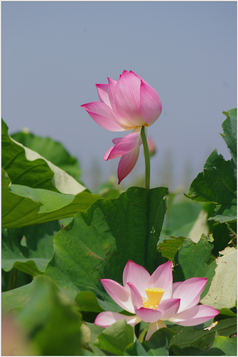 IMGP6211_����.jpg