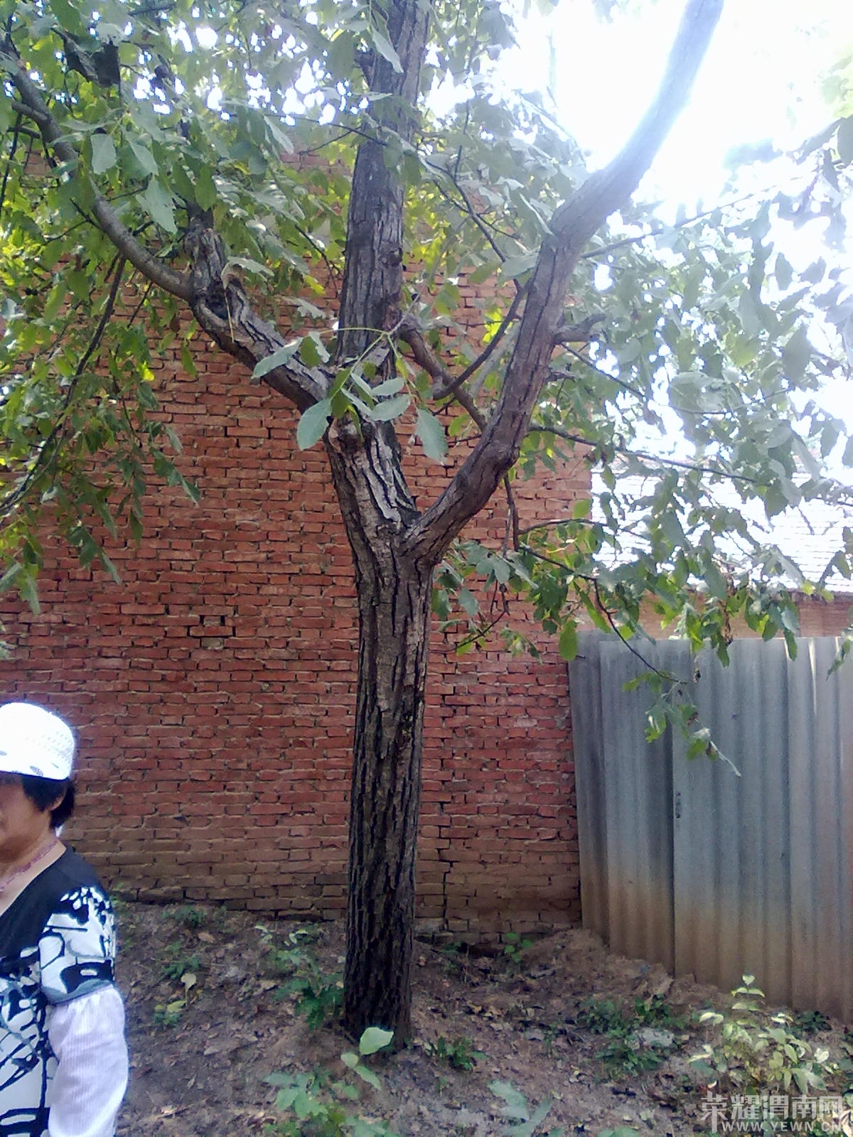 2.jpg