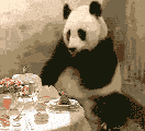 d6ca7bcb0a46f21fc88ba517f6246b600c33ae33.gif