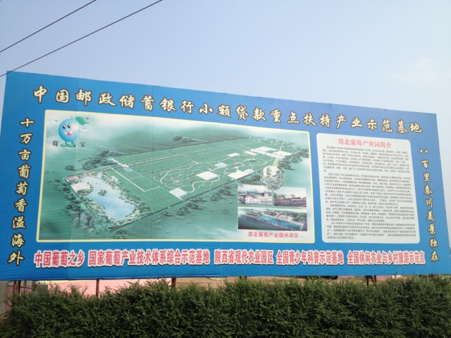 20130908190121_84763.jpg