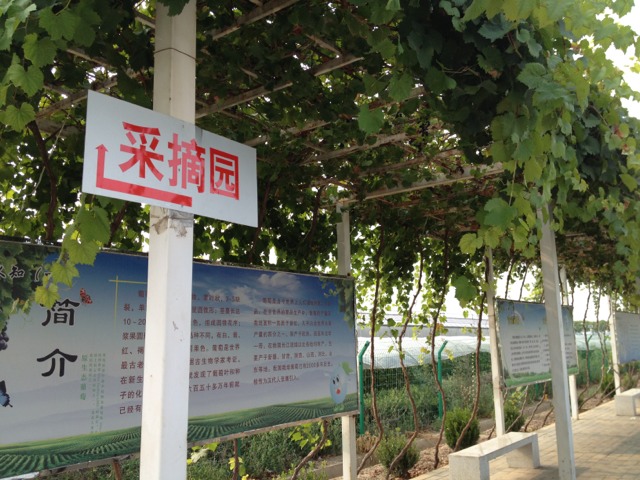 20130908190123_16231.jpg