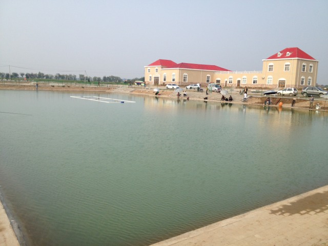 20130908190123_31218.jpg