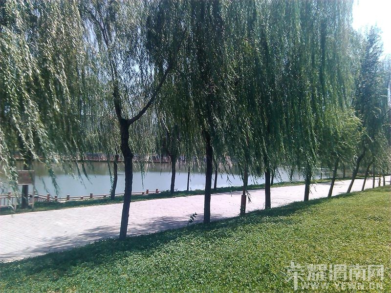 ���ӹ�԰