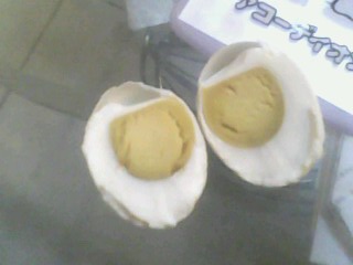 IMG0237A.jpg