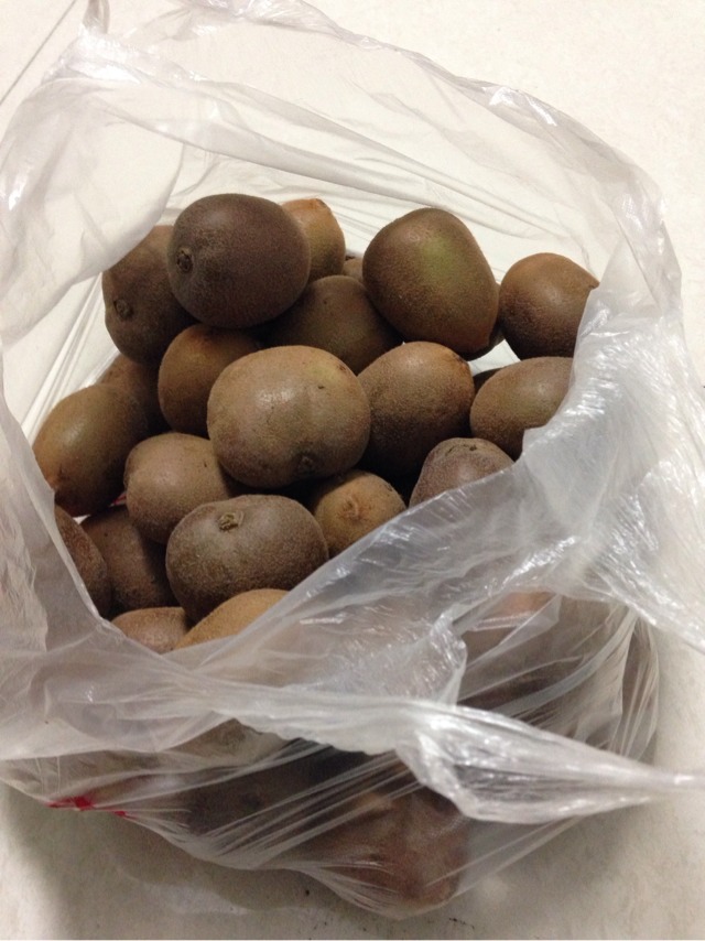 20130928205908_39528.jpg