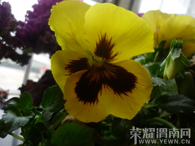P1140100.JPG