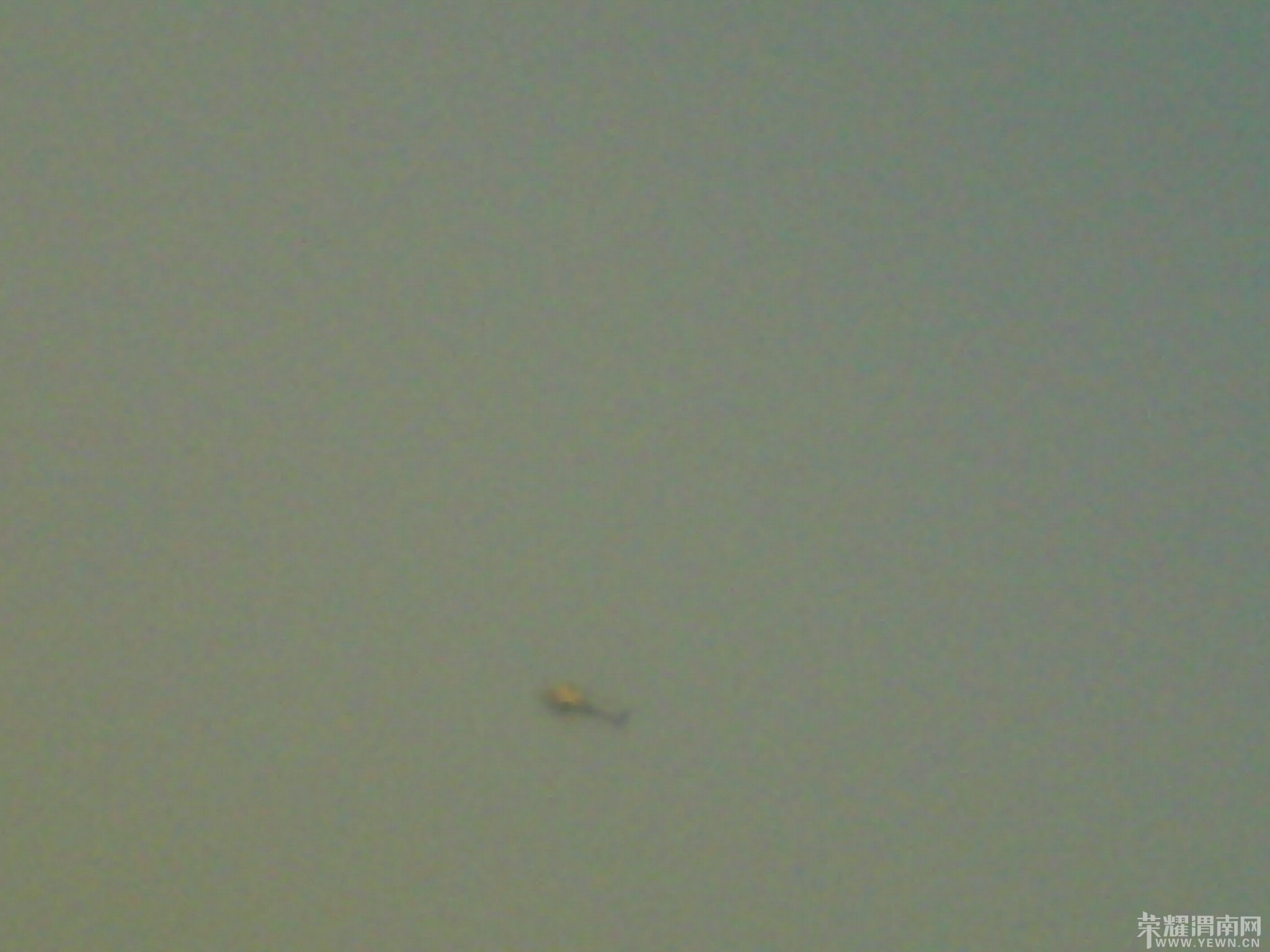 IMG_20131003_151157_0.jpg