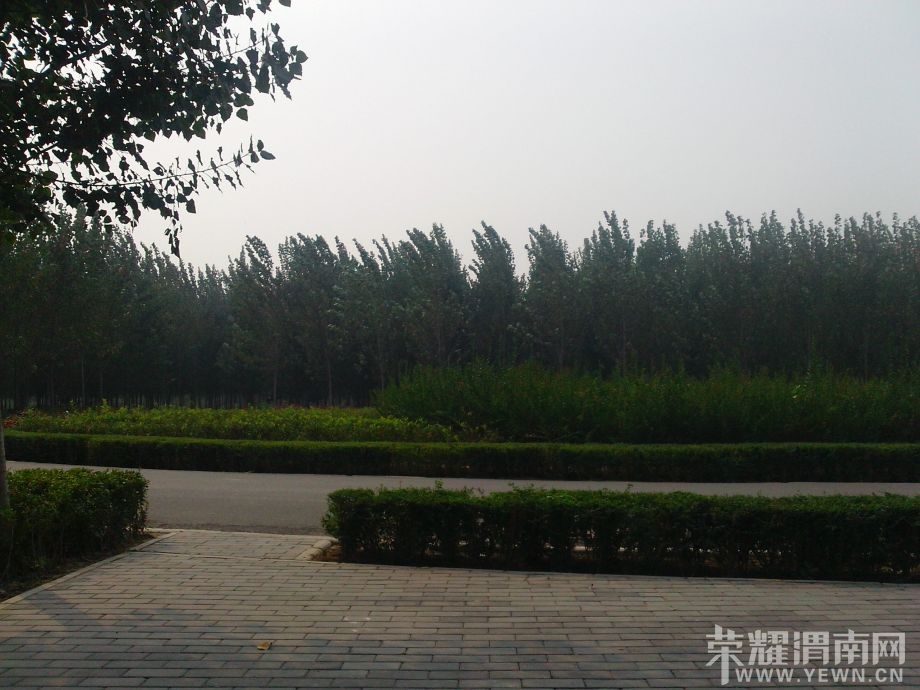 IMG_20131005_145126_1.jpg